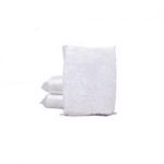 chiffon_tshirt_blanc_10lb_tetshi10lb